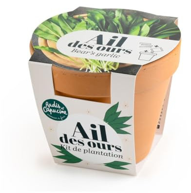 Radis et Capucine - Pot en terre cuite antique - Ail des ours