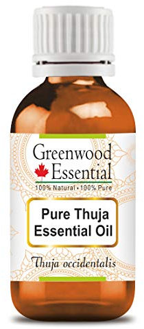 Greenwood Essential Pure Thuja Essential Oil (Thuja occidentalis) Steam Distilled Natural Therapeutic Grade 5ml (0.16 oz)