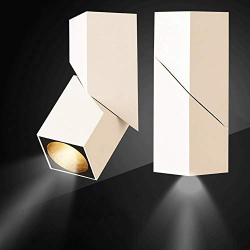 10W LED Downlight Regolabile Lampada da soffitto Regolabile Superficie Spotlight Spotlight Cob Flush Mount Montoshing Lighting Impianto Rotativa in alluminio for la camera da letto Corridoio [Classe e