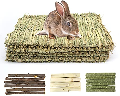 LLGLEU 4 Stück Handgewebt Kaninchen Grasmatte, Natürlich Kleintier Essbar Kauspielzeug Apfelstäbchen Grasstäbchen Süß Bambus für Hamster Chinchilla Papageien Meerschweinchen Frettchen (4 STK 20 * 28)