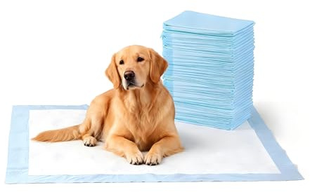 40 Stück Welpen Unterlagen, 60x60cm PIPI Matte für Hunde | Trainingspads für Hunde und Welpen, 5-Lagiges Auslaufsicheres Design mit Schnell Trocknender Oberfläche (60x60cm)