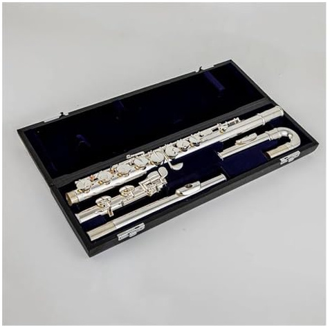 Querflöte Instrument Altflöte, G-Stimmung, 16 Geschlossene Klappen, Versilbertes Flöteninstrument Mit Aufbewahrungskoffer