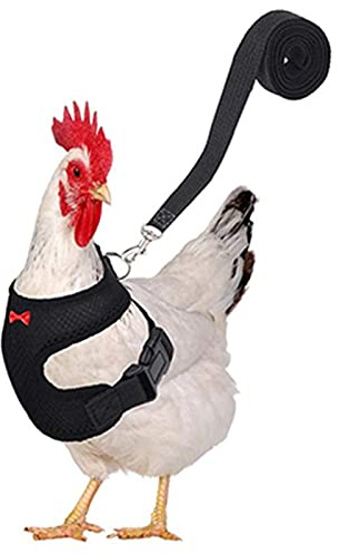 windyday Henne, verstellbar, Huhn, mit Leine, Tierweste, Geschirr, Huhn, Ente, Warnweste für Hühner, Ausbildung, Huhn, mit weichem Netzgewebe