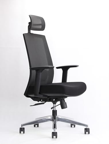DeHong Professioneller Bürostuhl, ergonomisch, Schreibtischstuhl mit Mesh Netz, Höhenverstellbarer Computerstuhl, Wippfunktion, Atmungsaktiv, Büro, Arbeitszimmer, bis 165 kg belastbar (Modern)