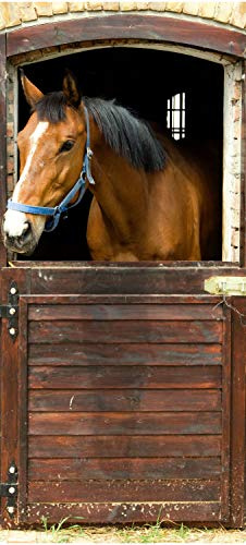 wandmotiv24 Türtapete Pferd an Stall-tür, Pferde, Tiere, Holz 90 x 200cm (B x H) - Dekorfolie selbstklebend Sticker für Türen, Türfolie, Aufkleber, M1070