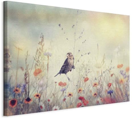 B&D XXL - Akustikbild Vogel Natur Blumen, Schallschutz, Wohnzimmer, Büro | Verbessert Raumakustik, reduziert Hall, ideal fürs Büro oder Wohnzimmer, hochwertige Verarbeitung, schnelle Montage, stilvoll