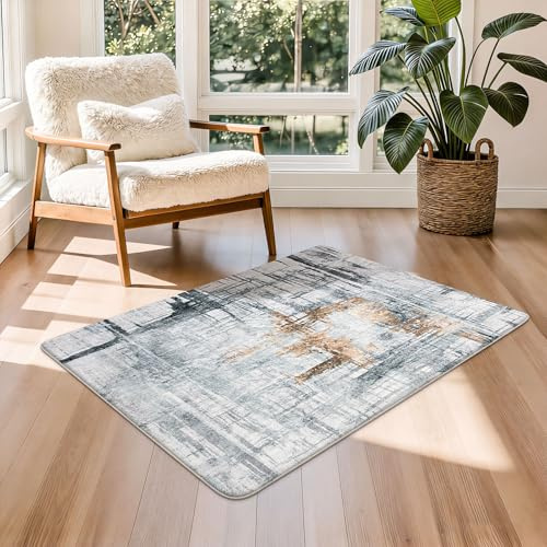Tinyboy-hbq Teppiche Modern Designer für Wohnzimmer Kurzflor Teppich für Wohnzimmer Schlafzimmer Grau (Grau/Gold, 80 x 120 cm)