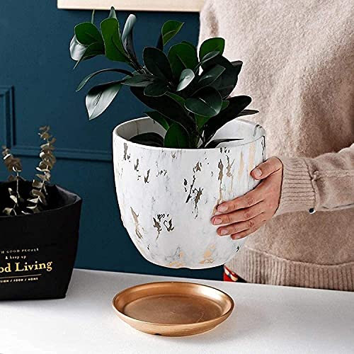 Maceta de cerámica para suculentas, maceta de manzana de estilo moderno y sencillo, redonda, para decoración del hogar, macetas con orificio de drenaje, para cactus, plantas verdes, plantas de hierbas