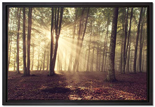 Pixxprint Waldlichtung im Sonnenschein Leinwandbild 60x40 cm im Bilderahmen, Wandbild, Schattenfugenrahmen, Kein Poster