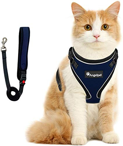 Angelpet Katzengeschirr und Leine, Set für Spaziergänge, ausbruchsicher, Kätzchen-Geschirr, super weich, verstellbar, atmungsaktiv, Frettchen (S, Königsblau)
