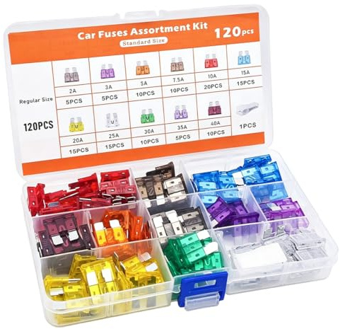 LUDHEP Kit 120 Fusibles Estándar para Coche 2A-40A con Pinza, Fusibles de Cuchilla Codificados por Color, para Automóviles, Camiones y Motos, Caja de Almacenaje