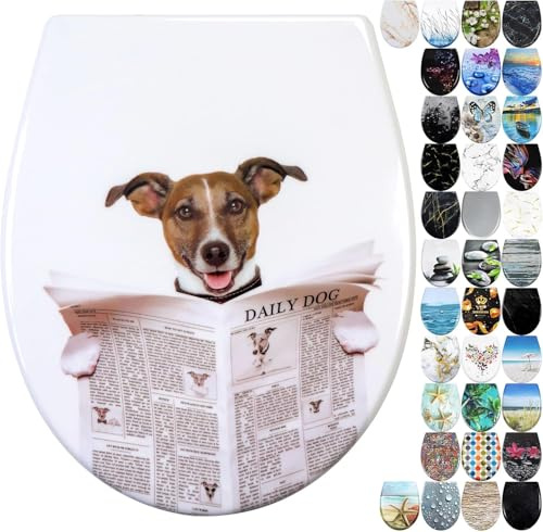 Fanmitrk Duroplast Toilet Seat Soft Close,One Botton Quick Release,Toilet Lid with Top Fixing,Colourful Patterns (812-14)