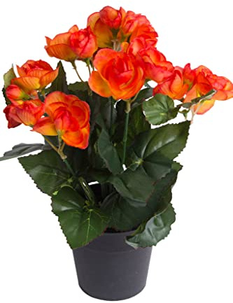 Botanic-Haus künstliche Begonie (Begonienbusch) mit 7 Stielen im schwarzen Kunststofftopf (orange)