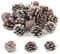 Xbessc 32 Piezas 3-4cm Piñas Decorativas Conos de Pino Naturales Piña Decoracion Navidad con Puntas Blancas Piñas de Pino para árboles de Navidad Coronas de Adviento Decoraciones de Regalo de Mesa