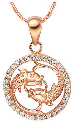 OAKKY Herren Hip Hop Zwölf Sternbilder Tierkreis Runden Diamant Inlay Hundemarke Anhänger Halsketten Edelstahl Roségold Fische mit Kette