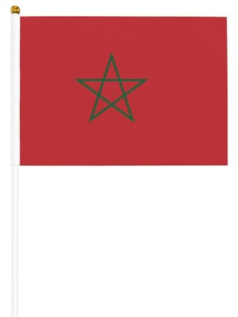 Lot de 10 drapeaux à main imprimés Drapeau du Maroc 14 x 20,8 cm