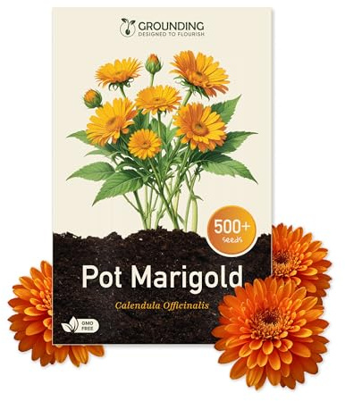Grounding - Semillas de Caléndula mezcla naranja y amarillo, 500+ semillas, altura 30 cm. Calendula officinalis es perfecta para balcones, parterres y borduras - Siembra fácil - Calidad Europea