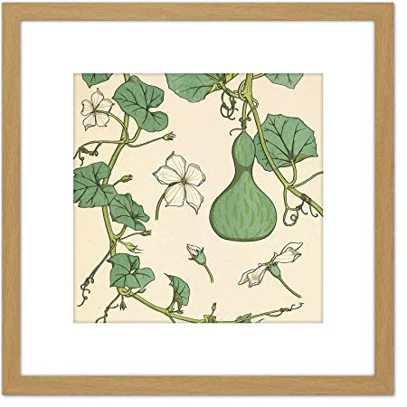Artery8 Verneuil Ornamental Gourd Squash Plant Design 9X9 Inch Square Wooden Framed Wall Art Print Picture with Mount