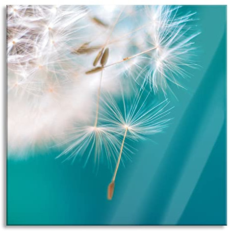 Pixxprint Glasbild, Wandbild auf Echtglas, Wunderschöne Pusteblume, 50x50 cm, inkl. Aufhängung und Abstandshalter