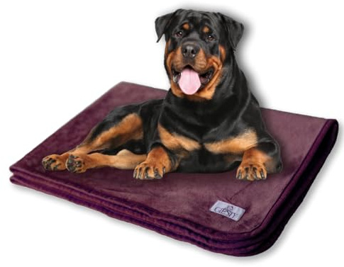 Giesty Hundedecke, Haustier Decken kuschelweich, Decken für Hunde Wasserdicht, maschinenwaschbar, beidseitiger Sofabezug-Schutz (Lila, XXL (203x148cm))