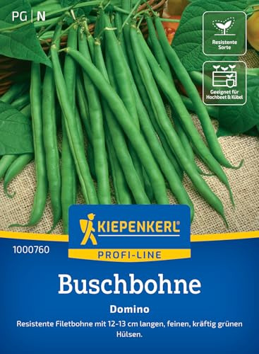 Kiepenkerl Buschbohnensamen Domino 1000760, Gemüsesaat | Inhalt für 8-10 laufende Meter