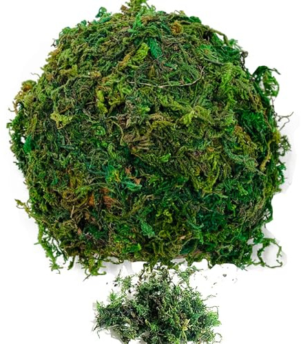 Musgo Falso,200G Musgo Verde Artificial para Manualidades Césped de Simulación Musgo Realista para Hogar Jardín Patio Decoración Plantas en Macetas Centros de Mesa Decoración Terrarios