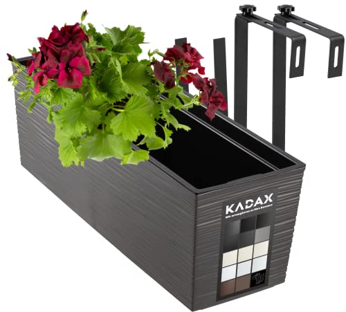 KADAX Blumenkasten 18,5x56 cm, Ritzmuster, Grafit, mit Halterungen, mit Einsatz – wetterfester rechteckiger Pflanzkasten für Balkon und Outdoor