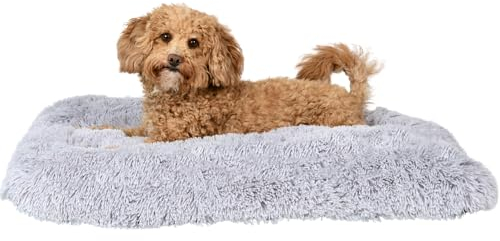 petzy Plüsch Hundebett I 80x60x14 cm I flauschig & waschbar für große, kleine und mittlere Hunde I multifunktionale Hundematte extra dick & bequem I Hundekissen & Katzenkissen I (M, Lichtgrau)