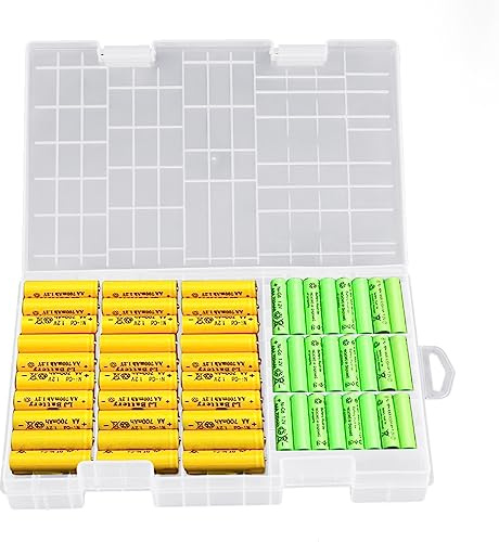 SCHYIDA Custodia Batteria in Plastica Organizer per Pile AA/AAA/C/D/9V Con 2 Contenitori Mini