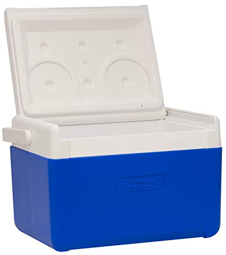 Andes 5L Cool Box Lunch Box for Food and Drinks, Fits 6 x 330ml Cans, Small Lightweight Cooler for Picnics or Work, 9 Hours Performance Time, Blue/White