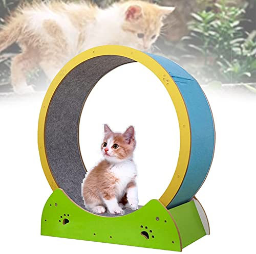 SSQUZA Katzenlaufrad Katze Rad Übung Laufband Leise, Kleine Mittlere Große Katze Laufband Räder Katze Laufen Rad Spielzeug, Indoor-Katzenlaufrad für Kätzchen Haustiere