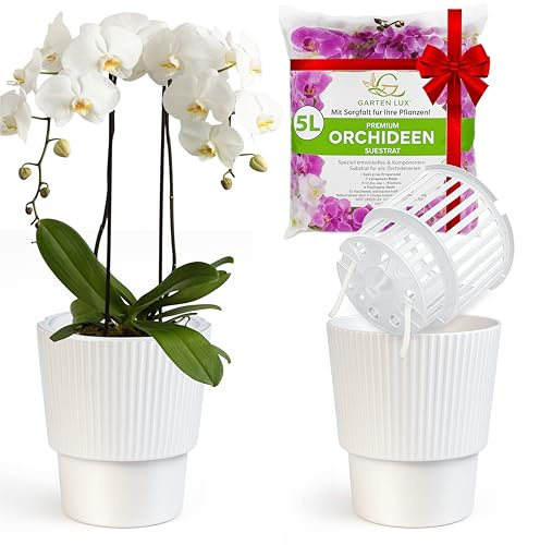 Garten lux 2er-Set Selbstbewässerungstöpfe für Orchideen–Weiß, Ø16cm, Orchideentopf 2,7L (Innentopf 1,9L Drainagelöchern mit Docht)+5L Orchideensubstrat für alle Orchideenarten für den Innenbereich