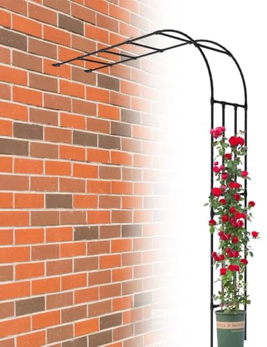 TAVLT Halber Gartenbogen Rankgitter, An Der Wand Befestigter Rosenbogen Aus Metall, Torbogen Rankhilfe Kletterrosenpflanzen (Color : Schwarz)