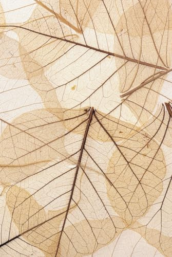 Das 10 Jahresbuch für Paare: Kalenderbuch und Tagebuch für 10 Jahre Erinnerungen, Gedanken und gemeinsame Momente der Beziehung.: Gedanken die das Leben schreibt – Das Paartagebuch