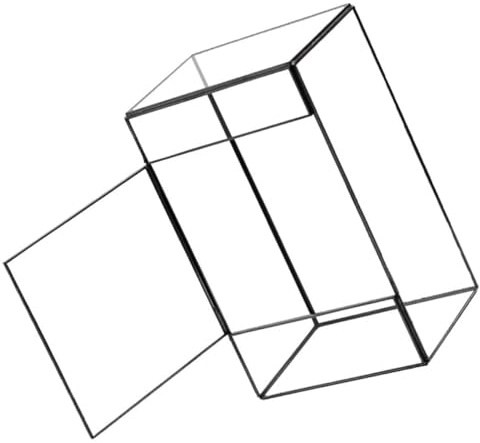 PAMINGONO Handgefertigtes Geometrisches Glas Terrarium Transparenter Pflanzhalter für Moos mikrolandschaften Dekoratives Ökosystem für Tisch Fensterbank und Büro Klarer Pflanzentopf