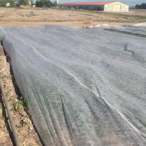 BricoLoco.com Manta de Malla térmica antiheladas para Plantas, Cultivos, huerto, jardín. Tela Tejido geotextil Invernal protección contra heladas, frío, Escarcha. 17 grs./m2. (4,5 x 100 MTS.)