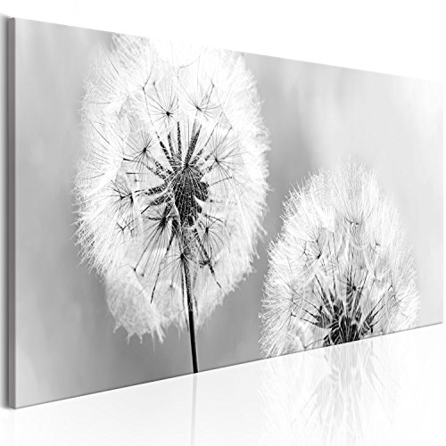 murando - Akustikbild Pusteblume Bilder Akustikschaum Hochleistungsschallabsorber Schallschutz Leinwand 1 tlg Wandbild Raumakustik Schalldämmung Blumen Natur grau b-B-0223-b-b