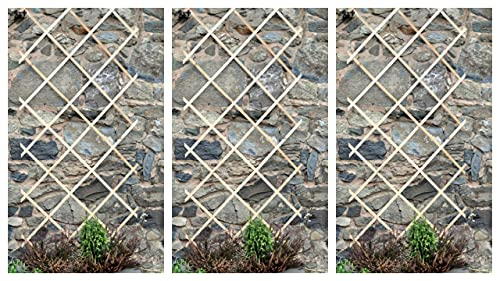 Garden Mile Set of 3 Expanding 6FT X 3FT Wooden Trellis Home and Garden Outdoor Flexible Wood Trellis for Climbing Growing Plants & Flowers Fence Panel Gardening Decor Support Structure