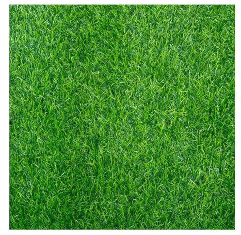 WLCNYL Kunstrasen, Läuferteppich, Outdoor-Teppiche, Kunstrasen, Balkon, Outdoor-Astro-Rasenmatte, Synthetischer Rasenteppich, 20 mm, hochdichter Gartenrasenteppich (Größe: 3 x 5 m)