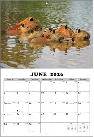 Bkljkf Calendario 2026-2027 | Planificador Temático De Capibara Con Bloques Grandes Rayados | Calendario de Pared 13 Meses Enero 2026 con Fechas Julianas,Para Planificar Citas Y Programar Horarios