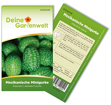 Mexikanische Minigurke Samen - Melothria scabra - -Gurkensamen - Minigurkensamen - Gemüsesamen - Saatgut für 10 Pflanzen