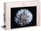 Ulmer Puzzleschmiede - Puzzle „Pusteblume“ - Klassisches 1000 Teile Puzzle Blume - Puzzle Made in Germany - Detailaufnahme Einer Reifen Löwenzahn-Pflanze - Hervorragende Blumen-Makro-Fotografie
