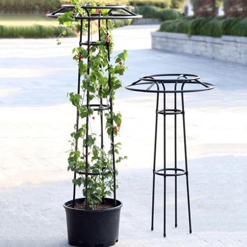 Obelisco per piante rampicanti, in metallo, per esterni, robusto traliccio per glicine, clematide e viti, disponibile in altezze da 105 cm, 145 cm, 185 cm, 225 cm