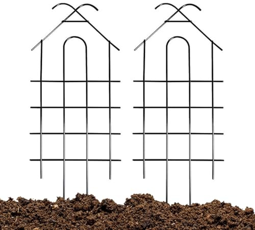 Treillis De Jardin – Métal, Support De Vigne | Cadre De Grimpante, Cage À Fleurs De Fruits, pour, Tomate, Raisin, Rose Monstera Pothos, Utilisation Intérieure Et Extérieure, 2 Pièces