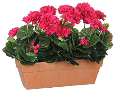 Mica decorations Geranien Kunstpflanze im Balkonkasten - L39 x B13 x H40 cm - Dunkelrosa