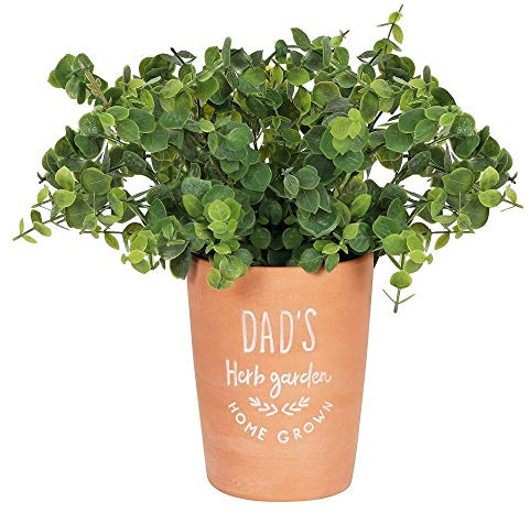 Classic Brown Terracotta Dad's Garden Plant Pot - 16cm x 13cm (1 Pc.) - Lush Greenery Design, Eco-Friendly & Durable Pot - Perfect for Gardens