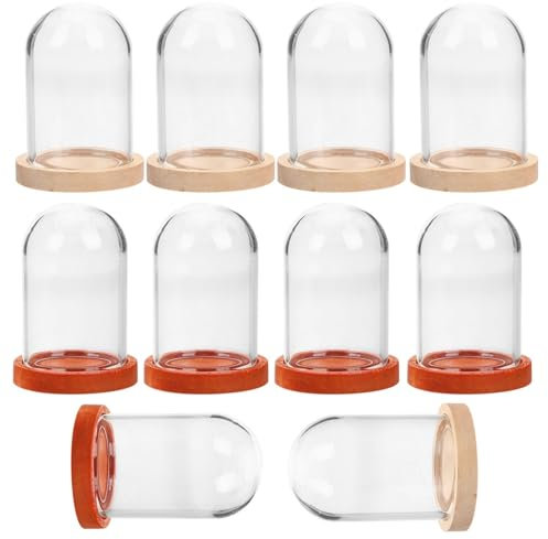 Kichvoe 10pièces Cloche Verre Transparent avec Base Support Décoratif pour Fleurs Bougies Et Plantes Deux Couleurs De Base Décoration De Table Élégante