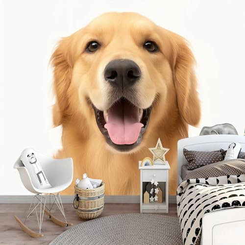 Fond D'Écran 3D Golden retriever sur fond blanc Papier Peint Intissé Tapisserie Murales Panoramique Mur De Fond Tv 250 x 175 cm Papier Peint Poster Murales Jaune