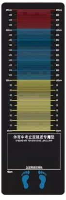 Stehsprungmatte, Weitsprung-Testmatte for Kinder, rutschfeste Sprungübung, Mess- und Trainingsgerät, for Turnhalle, Schule und Zuhause(200x90cm/78.7x35.4in)