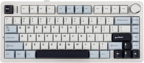 OVERCLOCK x Aula F75 Gasket Tastiera Meccanica al 75%, wireless/Bluetooth/USB-C, con cinque strati di pad, manopola, RGB, batteria, NKRO (LEOBOG Reaper Switch, Light Blue)